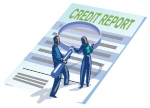 DBPR credit reports for personal and business reports.